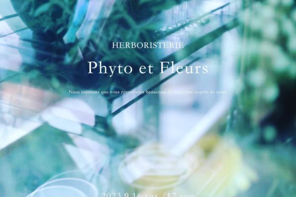 HERBORISTERIE Phyto et fleurs 架空の植物薬局 @Atelier table サムネイル