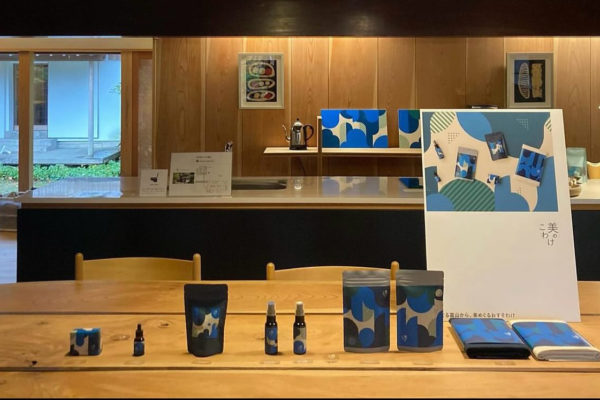 美のこわけ 発表会 サムネイル