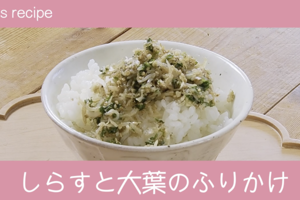 2025年7月のalbisレシピ動画 サムネイル