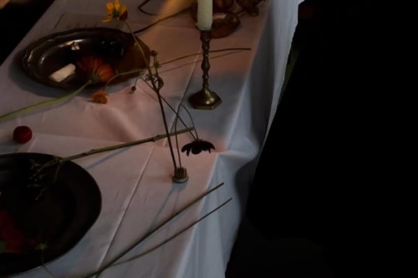 架空の植物薬局 HERBORISTERIE Phyto et Fleurs “TOYAMA”開催しました サムネイル